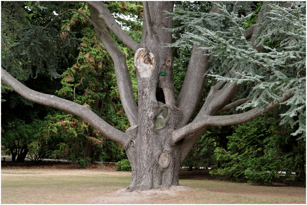 01 - Christchurch (09).jpg